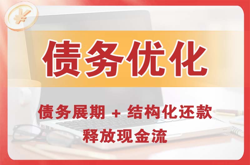岳阳县债务优化