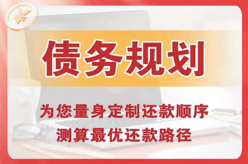 岳阳县债务规划
